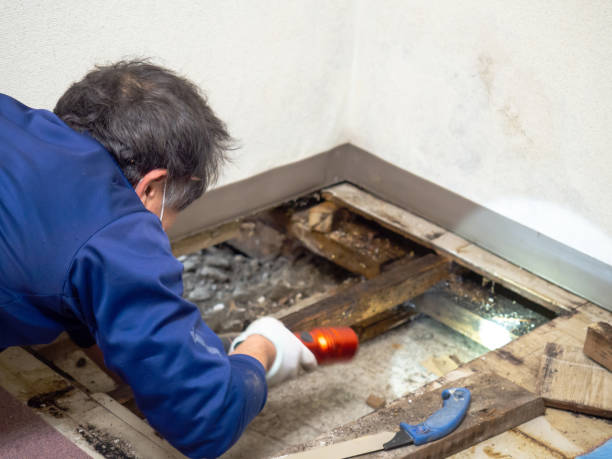 Water Damage Restoration in Sunbury, PA