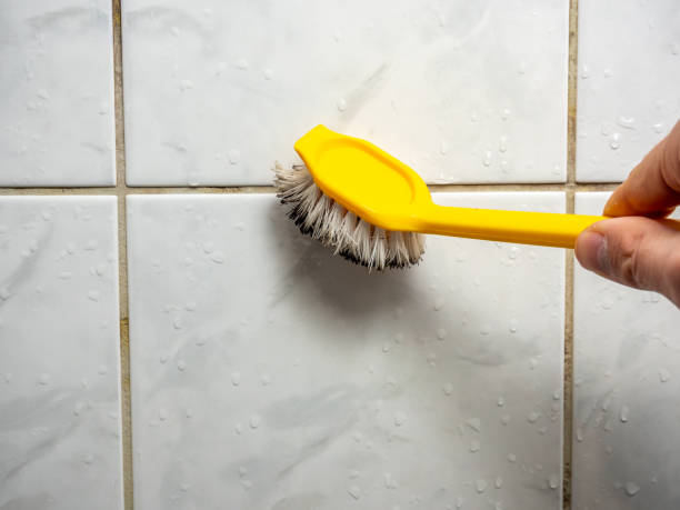 Best Toxic Mold Removal  in Sunbury, PA